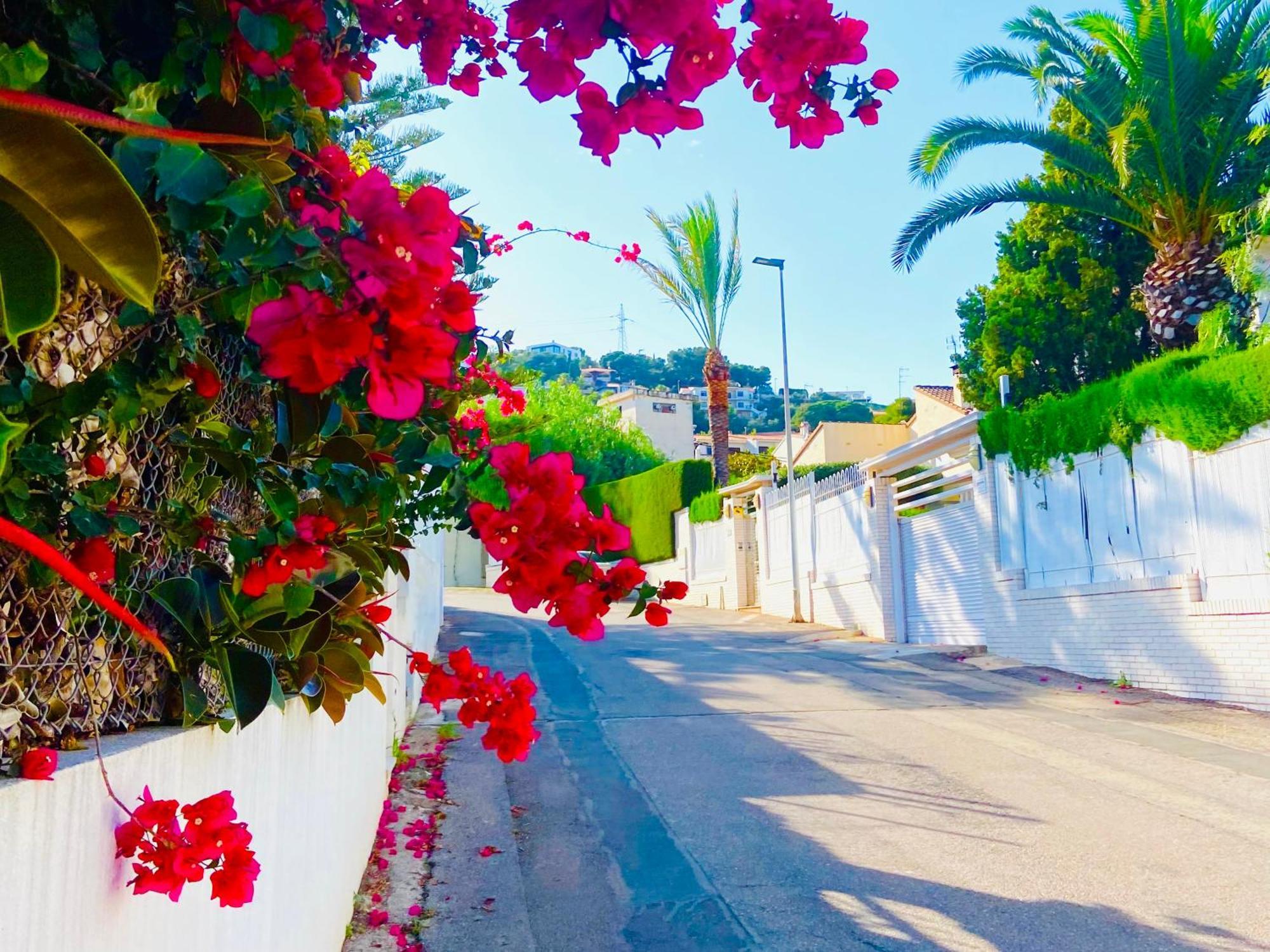 Turyva Tarongers 2 - Relaxing 2 Bedroom For Families & Couples Apartamento *